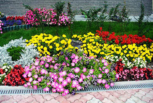 Оренбург наполнит аромат цветов 